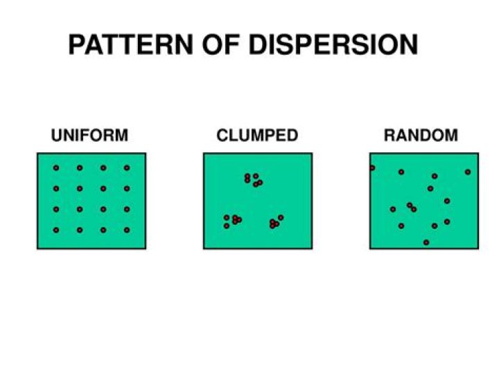 What is uniform dispersion? | ContextResponse.com