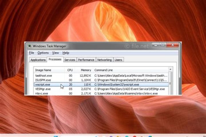 What is Wscript shell in VBA?