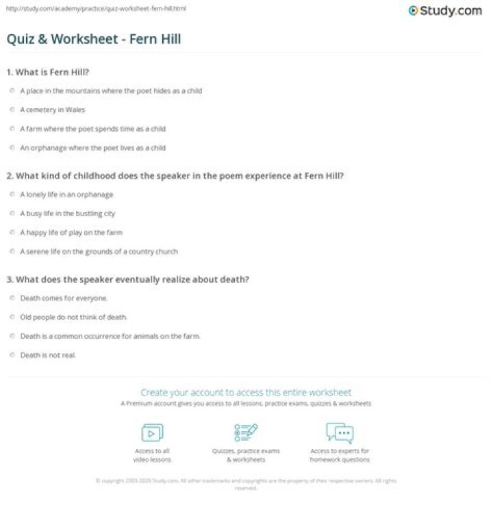 What kind of childhood does the speaker in the poem experience at Fern Hill