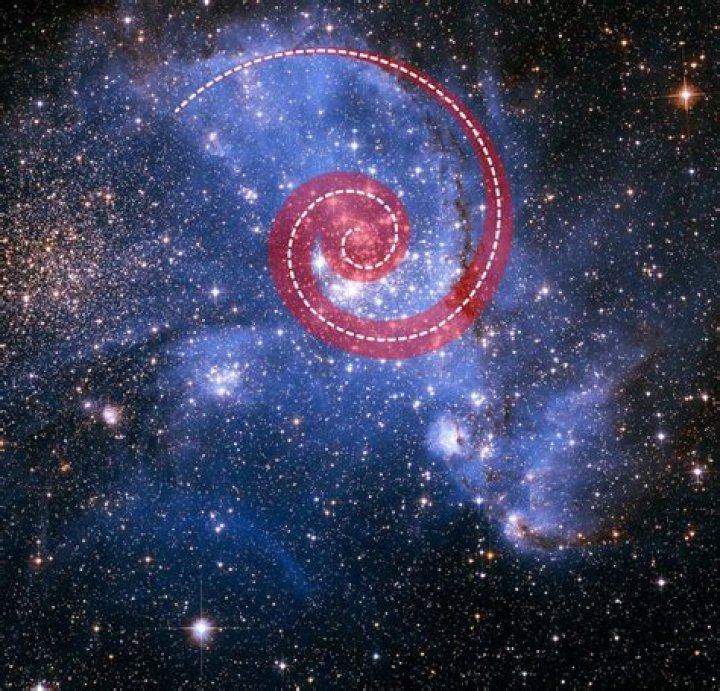 What kind of galaxy is the Cartwheel Galaxy?