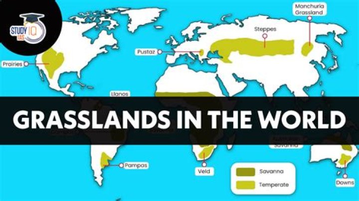 What landforms are in the grasslands