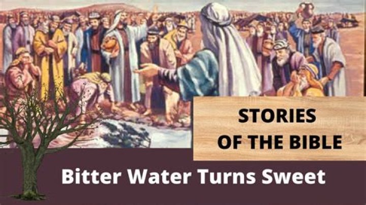 What looks sweet but is bitter?