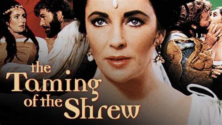 What makes Taming of the Shrew a comedy?