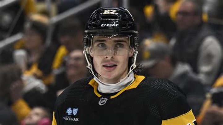 What NHL players use Buttendz?