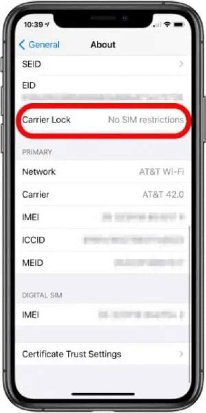 What phone carrier is EE in UK?