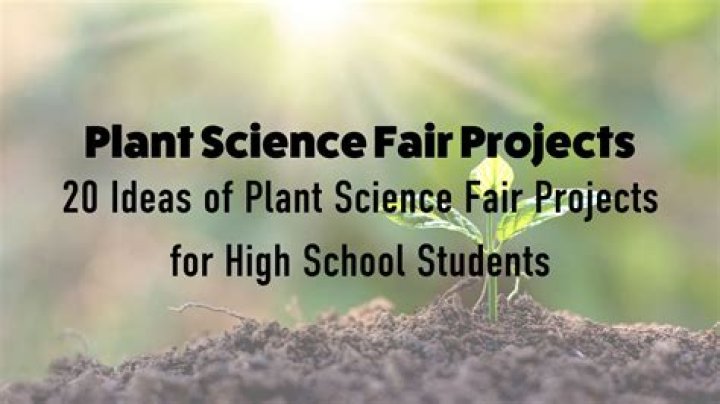 What plants are good for science fair projects
