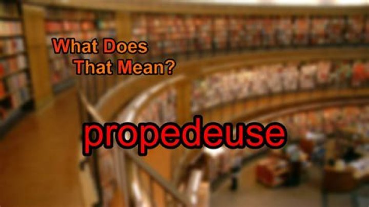What Propedeuse means?