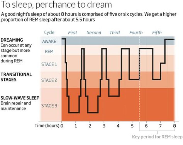 What stage of sleep do you dream