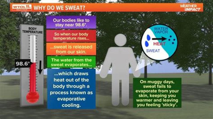 What to do if you have a lot of sweat on your head?