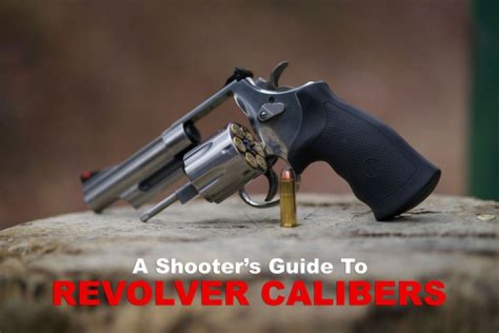 What type of ammo does a revolver use?