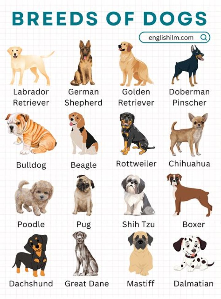 What type of name is Tierney?