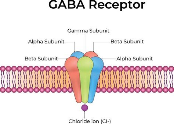 What type of receptor is GABA B?