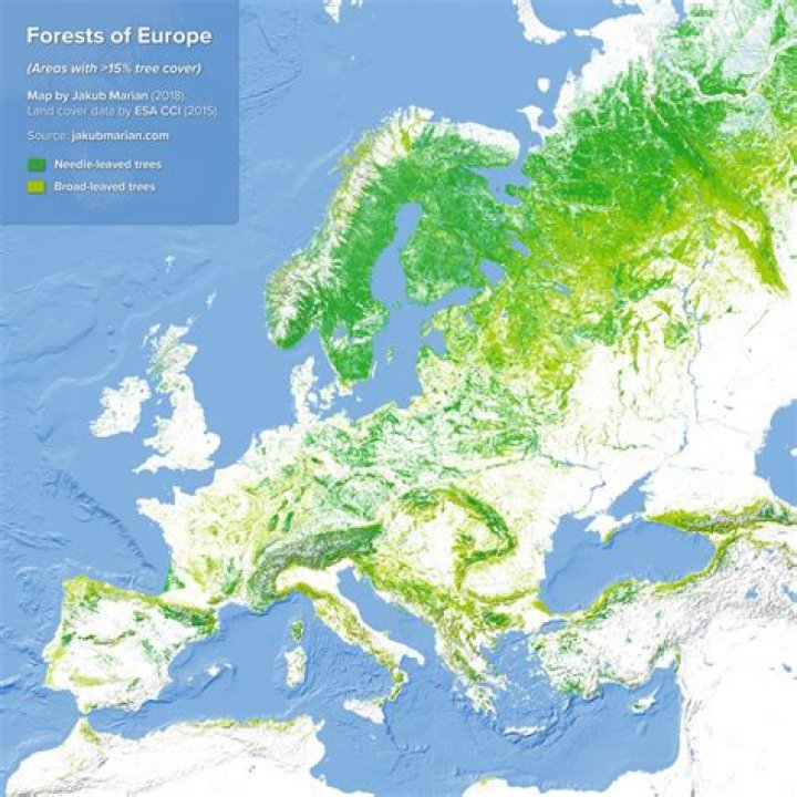 What types of forests are in Europe?