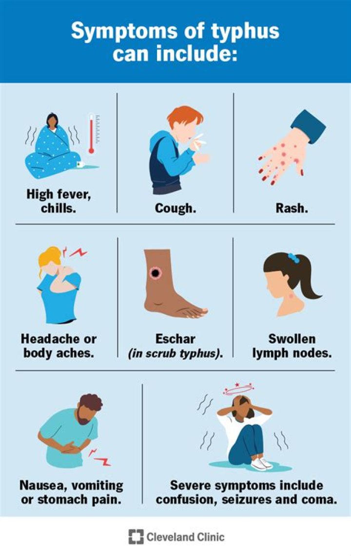 What was typhus and how did people get it?