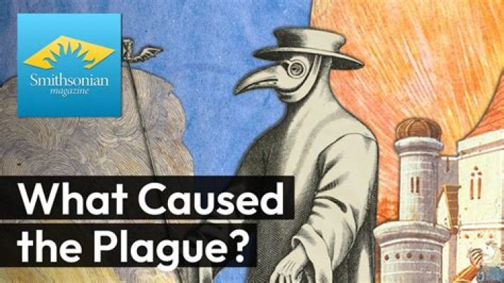 What year does the plague take place?