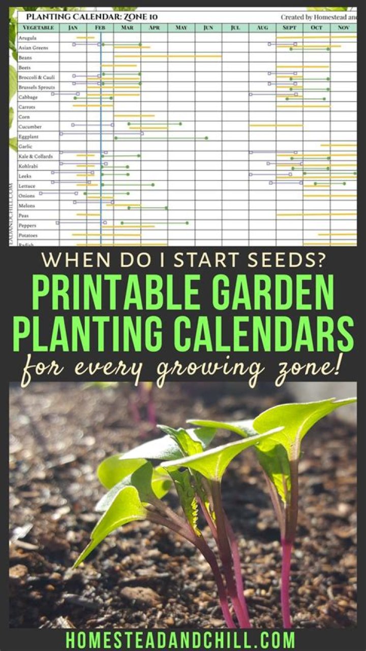 When should I start seeds for my garden