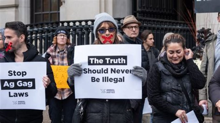 When were the first Ag-Gag laws passed?