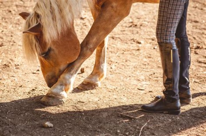 Where can I get rid of old cement blocks