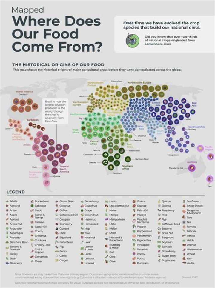 Where did Nupe originated from?