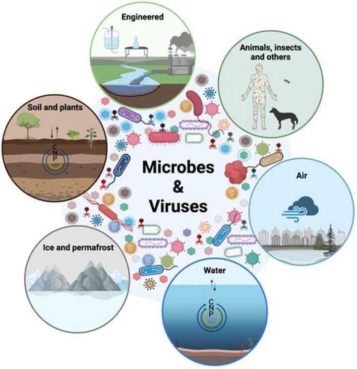 Where do microbes can grow?