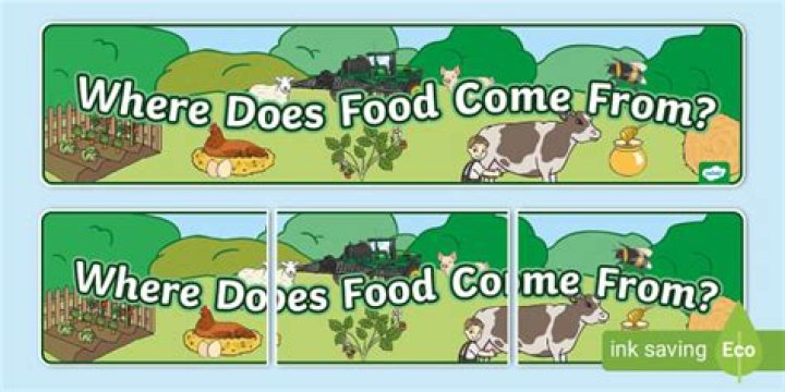 Where do Pavlovas come from?