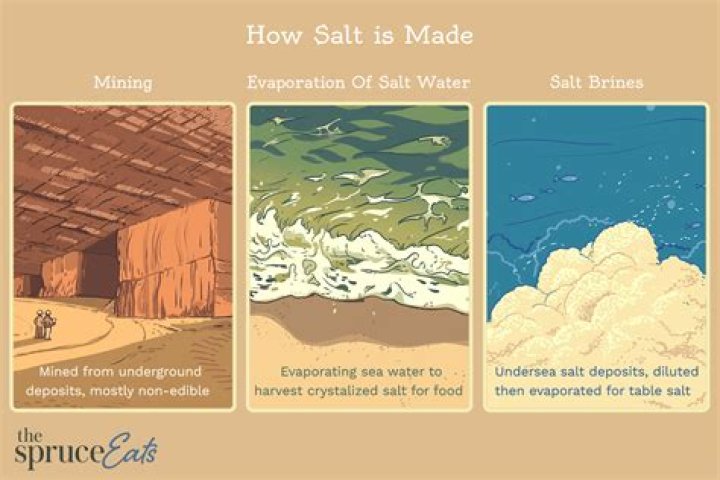 Where does salt go in your body?
