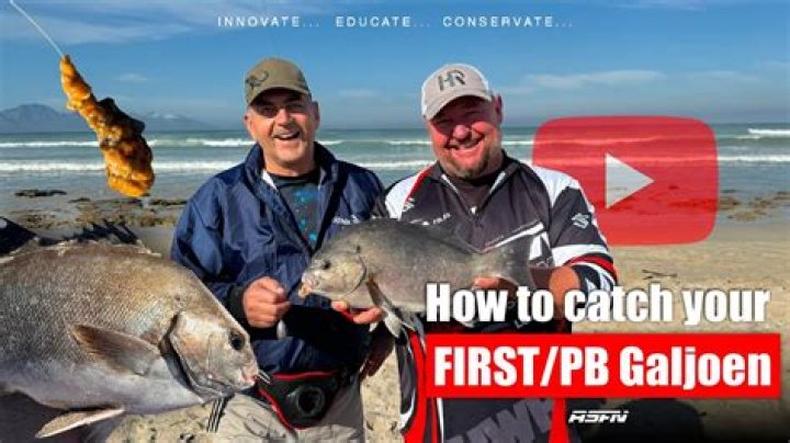 Where does the galjoen live?