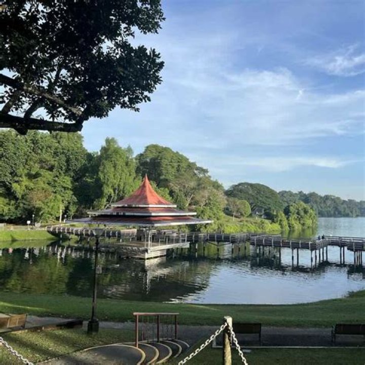 Where is the Japanese Shrine in MacRitchie reservoir?