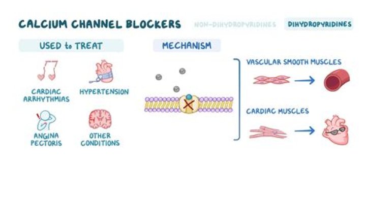 Which enantiomer of verapamil is calcium channel blockers?