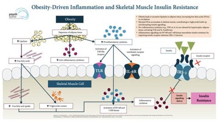 Which is a symptom of systemic insulin resistance?