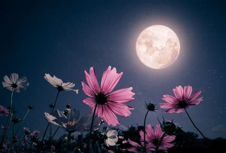 Which is more beautiful, the Moon or the night sky?