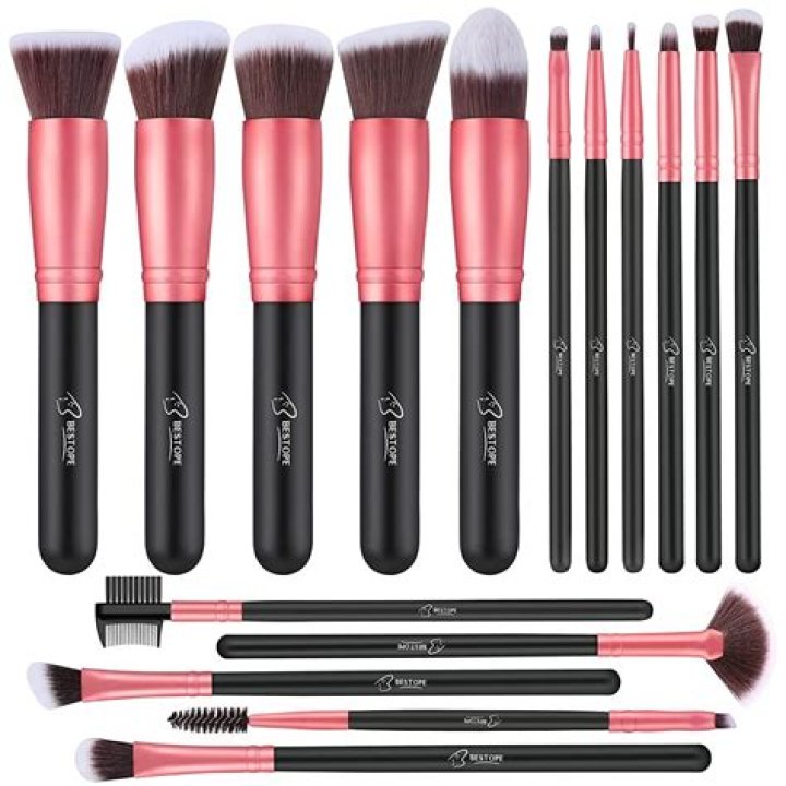 Which makeup brushes are best and affordable?