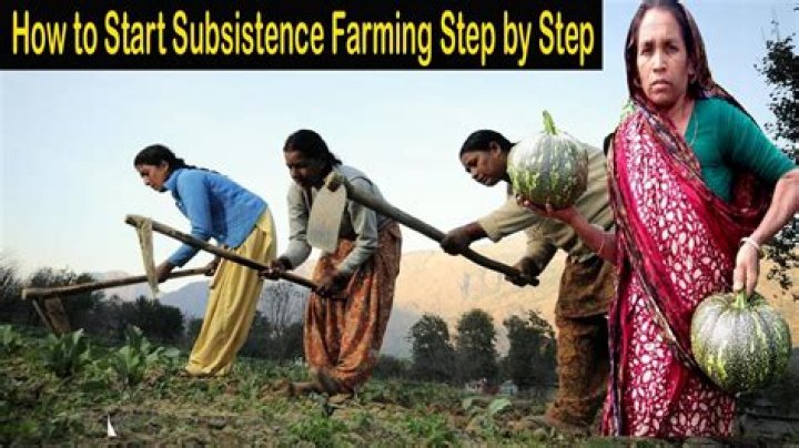 Which of the following are classified as subsistence strategies
