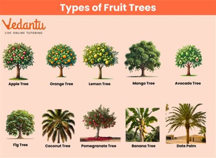 Which types of trees in Karnataka?
