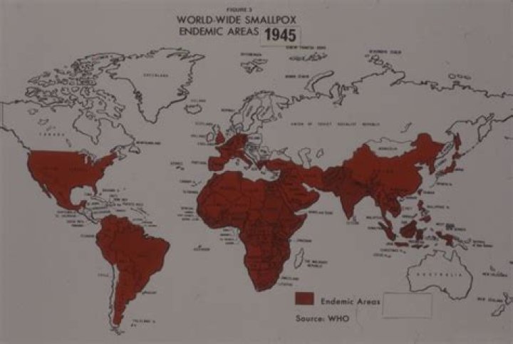 Who brought smallpox to South Africa?