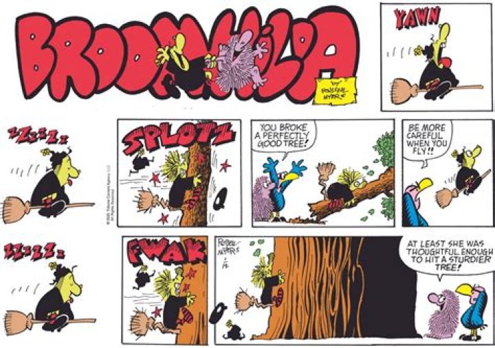 Who is Broomhilda in Django?