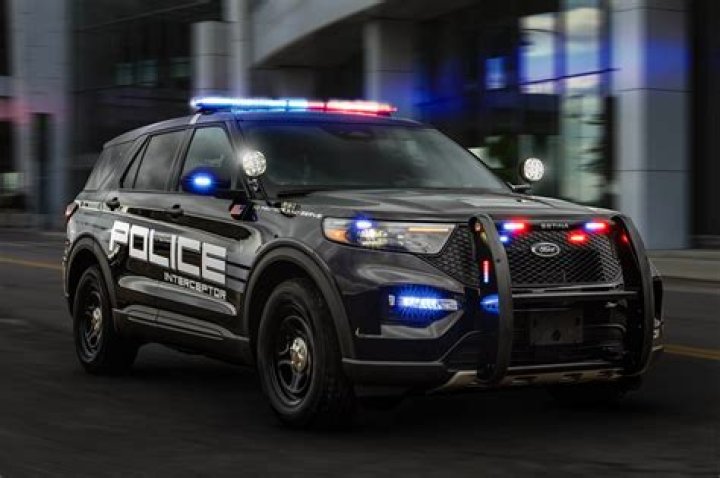 Why are some police cars black and white?