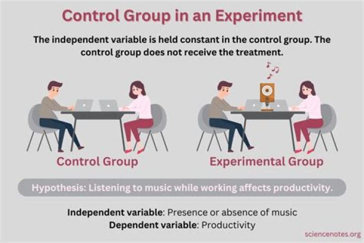Why have a control group in an experiment