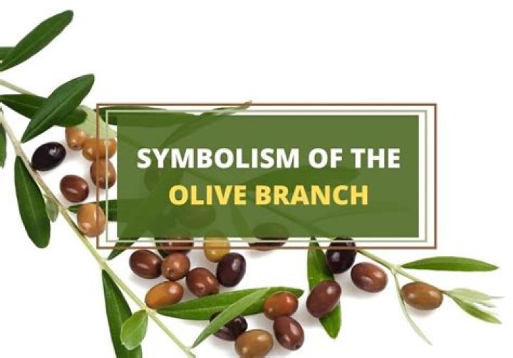 Why is olive branch a symbol of peace?