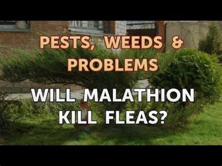 Will malathion kill fleas